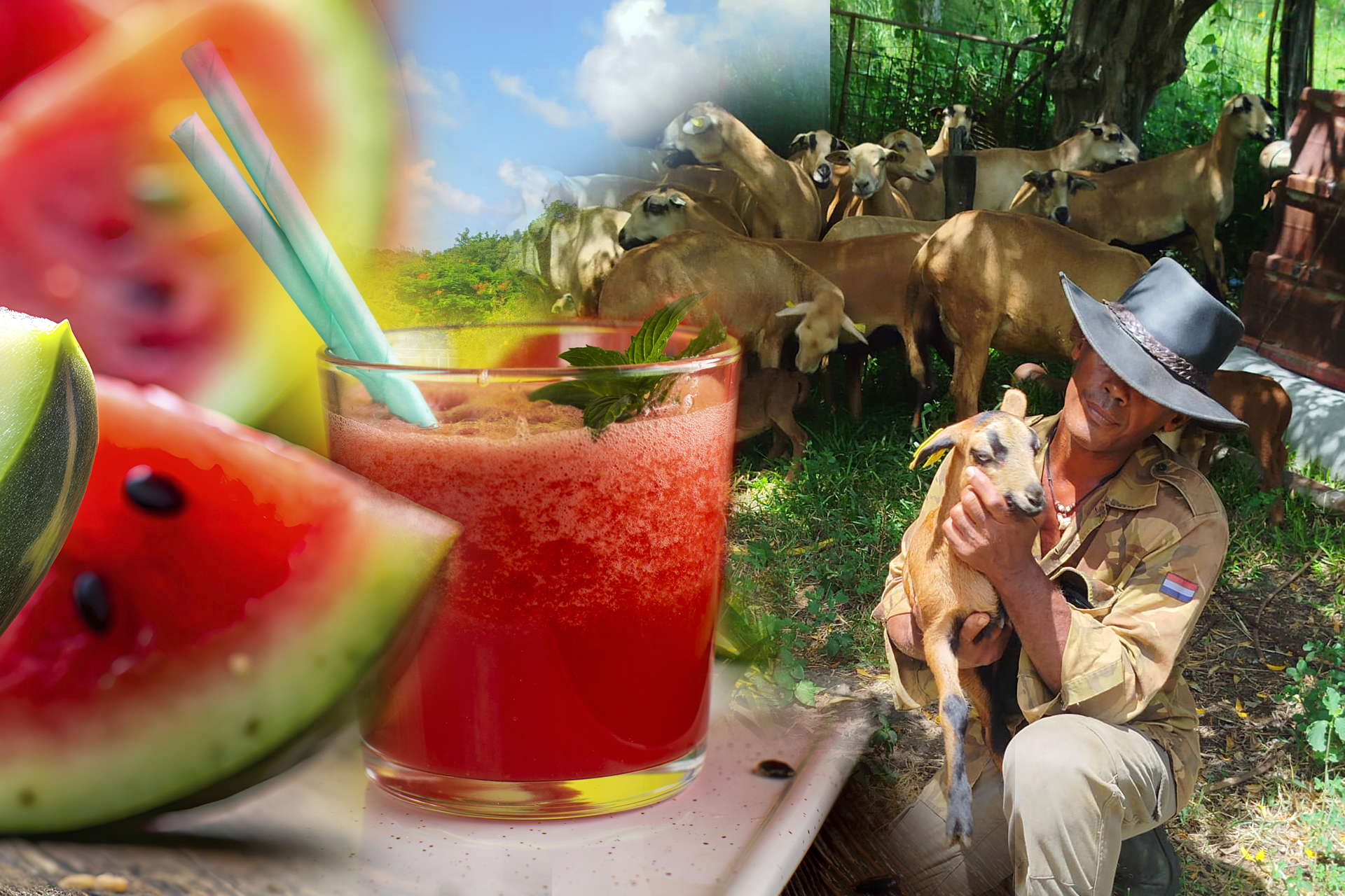 L’histoire de l’Exploitation